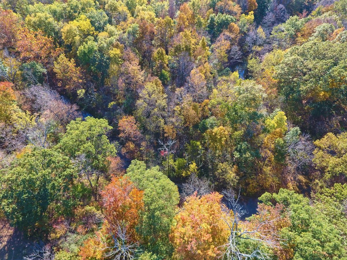 2016-10 IN Indiana Waterfalls Hathaway Preserve at Ross Run Aerial (7)
